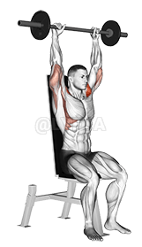 Barbell assis Bradford Rocky Press demonstration