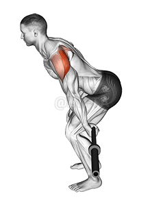 Súlyzósíelő demonstration