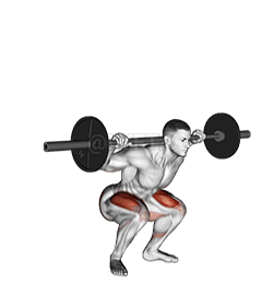 Thumbnail for the video of exercise: Barbell Speed Squat