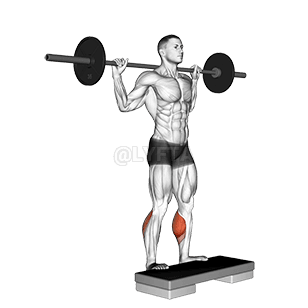 Image of Standing Leg Calf Raise