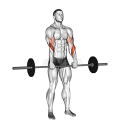 Ke kū nei ʻo Reverse Grip Curl demonstration