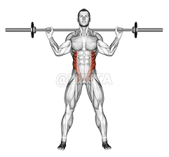 Barbell Standing Twist demonstration