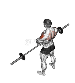 Aufrechtes Rudern mit der Langhantel demonstration