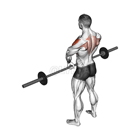 Image of Upright Row