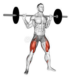 Squat large avec haltères demonstration