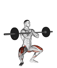 Image of Barbell Zercher Squat