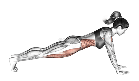 Thumbnail for the video of exercise: Bridge