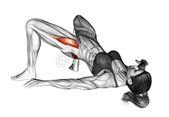 Penculikan Pinggul Jambatan demonstration