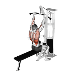 Image of Bar Lateral Pulldown