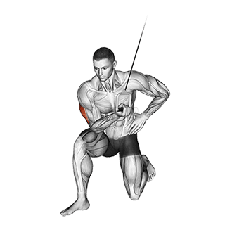 Kabelkonzentrationserweiterung demonstration