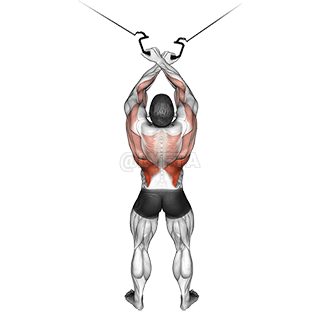 Crossover Lateral Pulldown demonstration