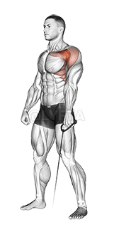 Kabel Forward Raise demonstration