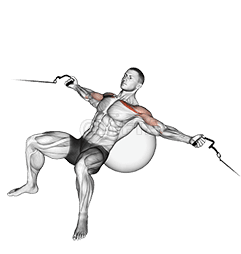 Cable Incline Fly demonstration