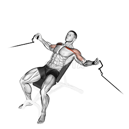 Cable Incline Fly demonstration