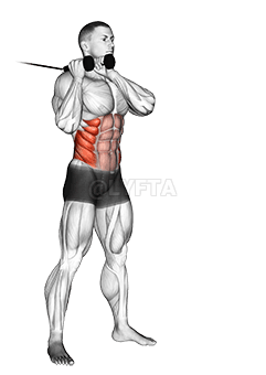 Thumbnail for the video of exercise: Cable Judo Flip