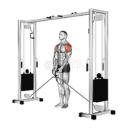Cable Lateral Nce demonstration