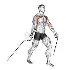 Lav flue demonstration