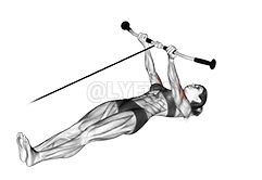 Cable Lying Curl demonstration