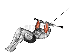 Thumbnail for the video of exercise: केबल पड़ल ट्राइसेप्स एक्सटेंशन के बा