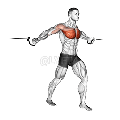 Middle Fly demonstration