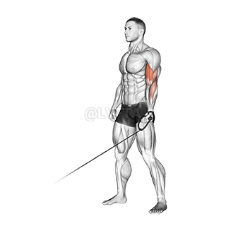 केबल वन आर्म कर्ल demonstration