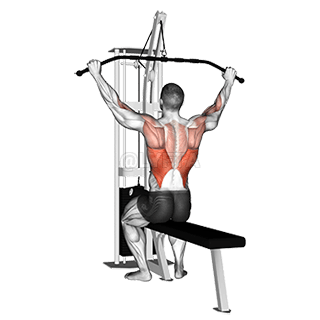 Image of Pulldown