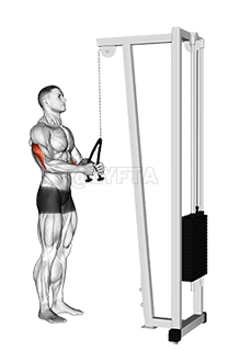 Kaƒomɔ̃ ƒe Ʋuʋu demonstration