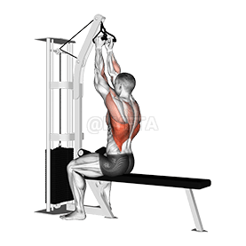 Kabel Sedící High Row demonstration