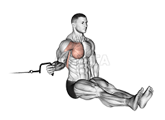 坐姿肩內旋 demonstration