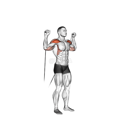 Presse à épaules demonstration