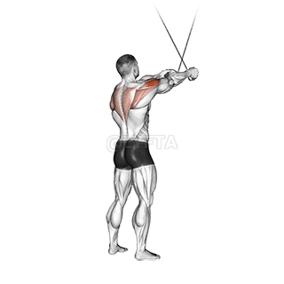 Stående Cross-over High Reverse Flue demonstration