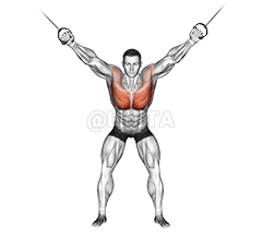 Image of Cable Standing Fly