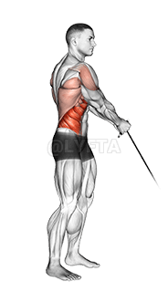 Кабельный стоячий подъемник demonstration