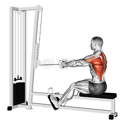 Image of Straight Back Seated Row