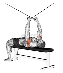 Легнала обратна муха demonstration