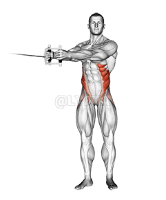 Torsion de câble demonstration