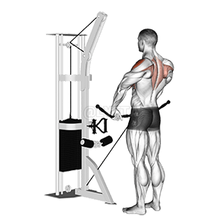 Remo vertical con cable demonstration
