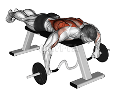 Fila tumbada con barra curvada demonstration