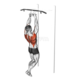 Chin-ups demonstration