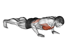 Reloxo Push-Up demonstration