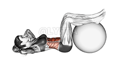 噛み砕く demonstration