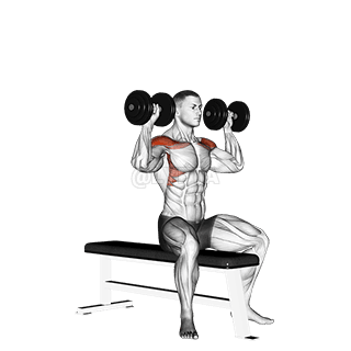 Image of Bench Seated Press