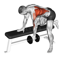 Image of One Arm Bent-over Row