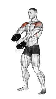 ダンベルフロントレイズ demonstration