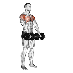 Image of Front Raise