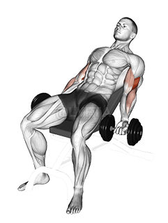 Image of Dumbbell Incline Curl 
