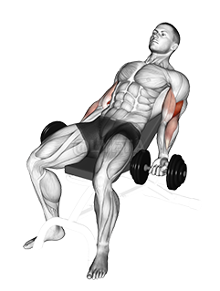 Dumbbell Incline Curl 