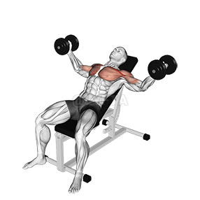 Mosca inclinada com halteres demonstration