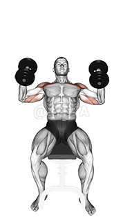 डम्बल झुकाव हथौड़ा प्रेस demonstration