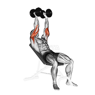 Hantli kaldega triitsepsi pikendamine demonstration